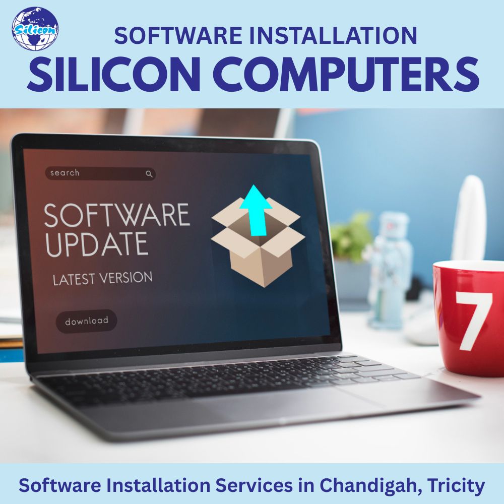Software installation services